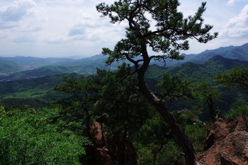 IMGP9077_