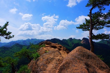 IMGP9072_