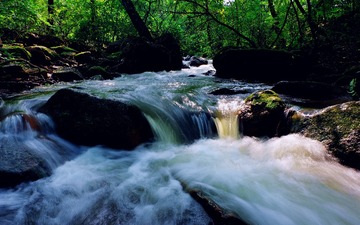 IMGP3969_