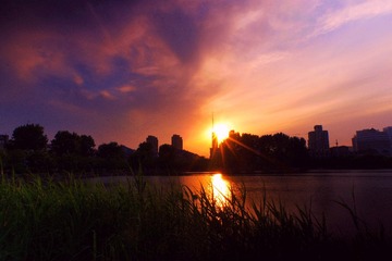 IMGP0245_