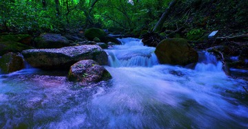 IMGP3920_