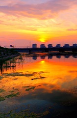 IMGP0597_
