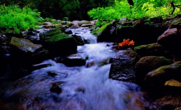 IMGP2761_