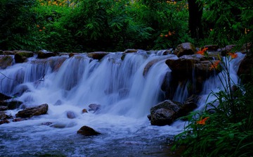 IMGP5963_