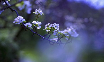 IMGP5457_00_000