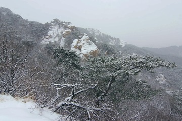IMGP3368_
