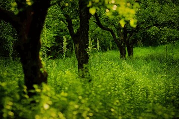 IMGP0310_00