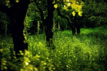IMGP0310_