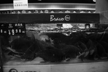 BW__DSC9816-