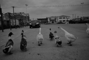 DSC_5323_2160