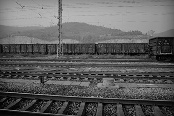 BW_20161112博爱_DSC_9855