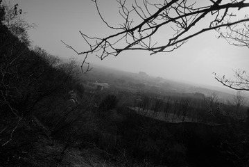 BW_20161201洛阳_DSC_5423