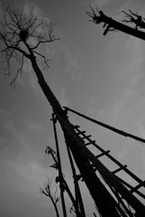 BW_20161201洛阳_DSC_5575
