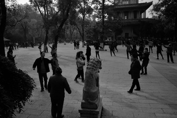 BW_20161114西安_DSC_0224