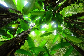 _MG_9175.JPG