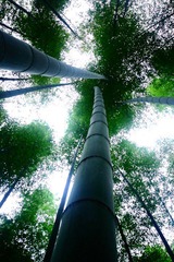 _MG_9183.JPG
