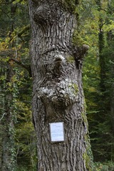 _MG_3316.JPG