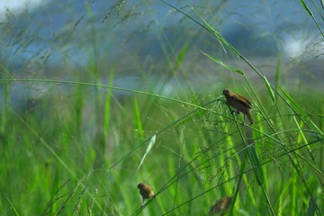 _MG_3022.JPG