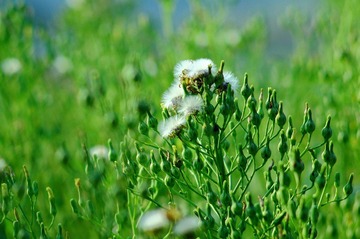 _MG_3080.JPG