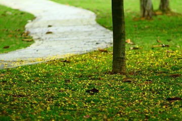 _MG_3661.JPG