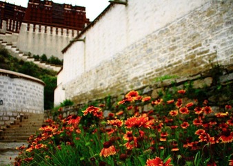 _MG_2774.JPG