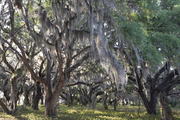 _MG_6305.JPG
