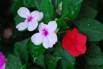 DSC_3284.JPG