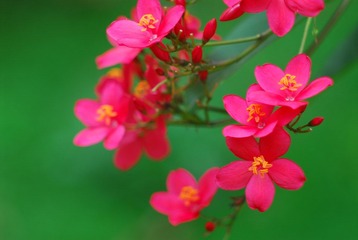 DSC_3420.JPG