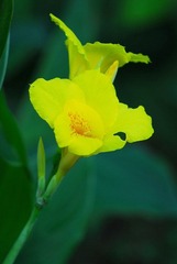 DSC_3461.JPG