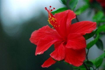DSC_3463.JPG