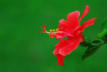 DSC_3468.JPG
