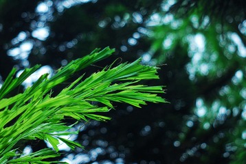 DSC_3489.JPG