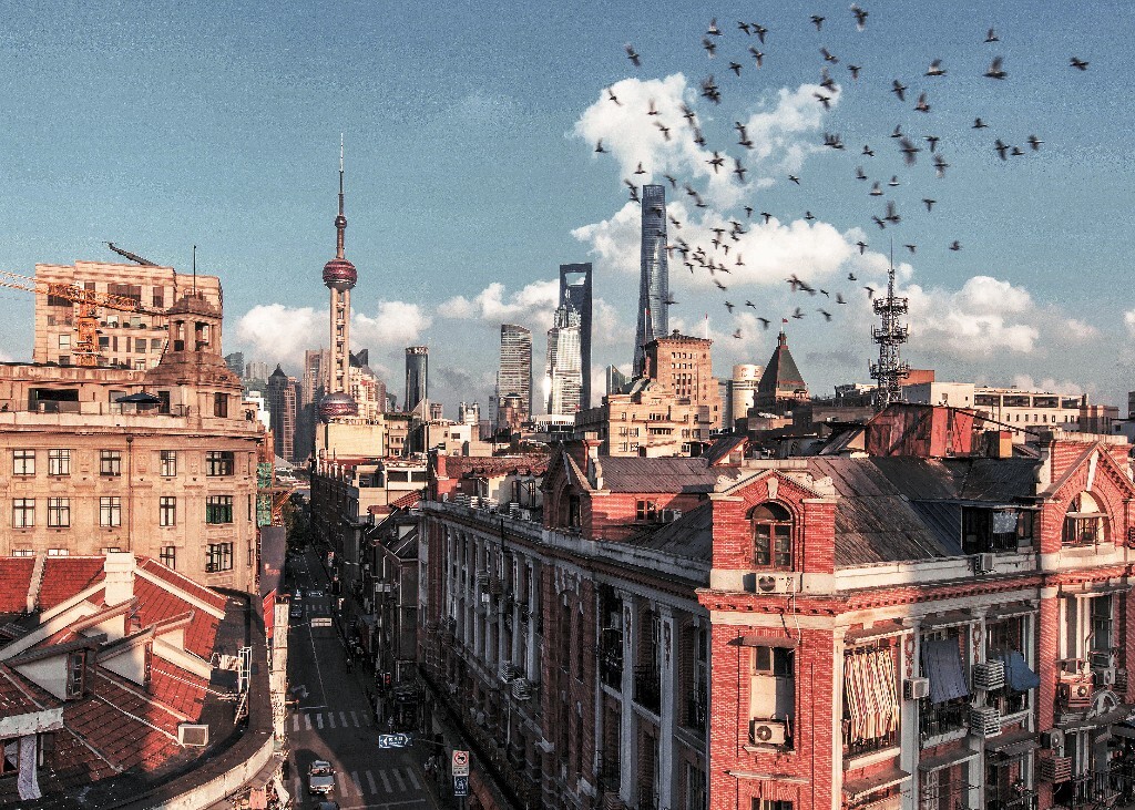 《碰撞》