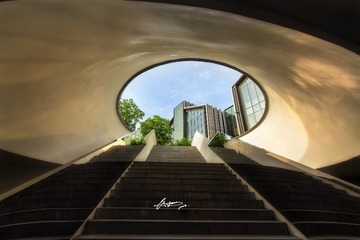 通向春天的阶梯