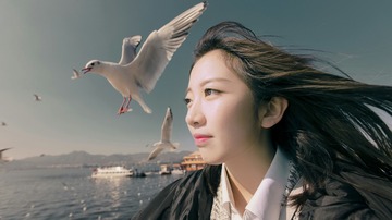 海鸥与少女