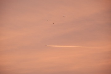 120AA331-47DF-4E31-A022-18E24F39302A/L0/001
