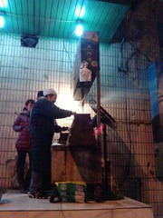 P2014[01]_18-02-11.JPG