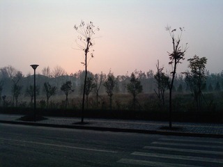 P0746_22-11-11.JPG
