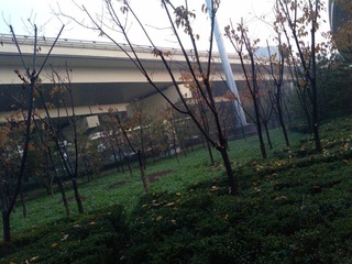 P0748[01]_22-11-11.JPG