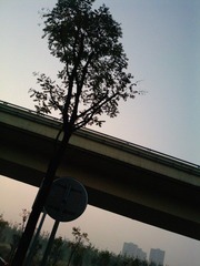 P0753[01]_22-11-11.JPG