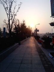 P0807_22-11-11.JPG