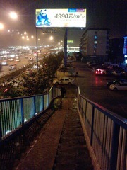 P1831_22-11-11.JPG