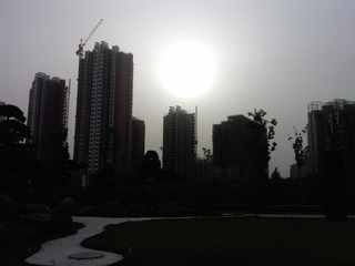 P1806_18-05-11.JPG