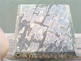 P0823_10-05-11.JPG