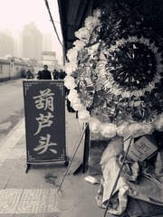 P1321_26-11-11_.jpg