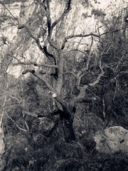 P1335_19-11-11_.jpg