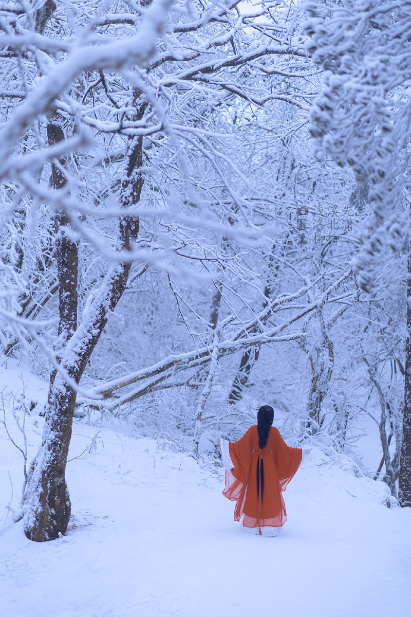 他朝若是同淋雪此生也算共白头