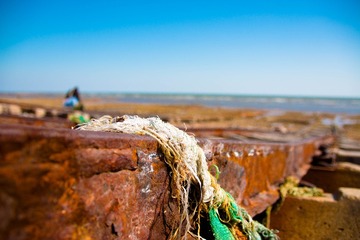 拾海者