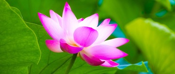 嫣然一抹18