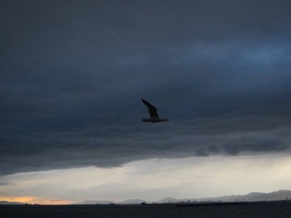 IMG_1467.JPG